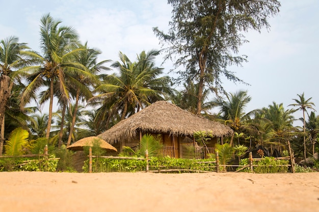 Detail of Agonda beach at Goa, India