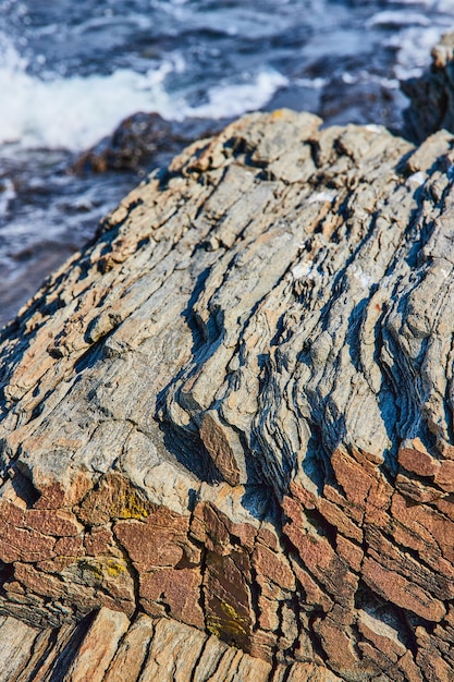 Detail of rocks that look like petrified wood on ocean coast in Maine