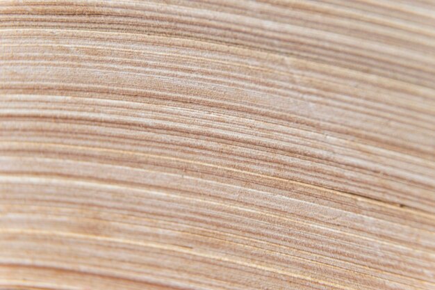 Photo detail shot of wooden surface