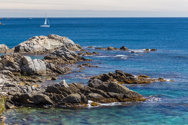 Detail of the Spanish coast at summer (Catalonia,Costa Brava)