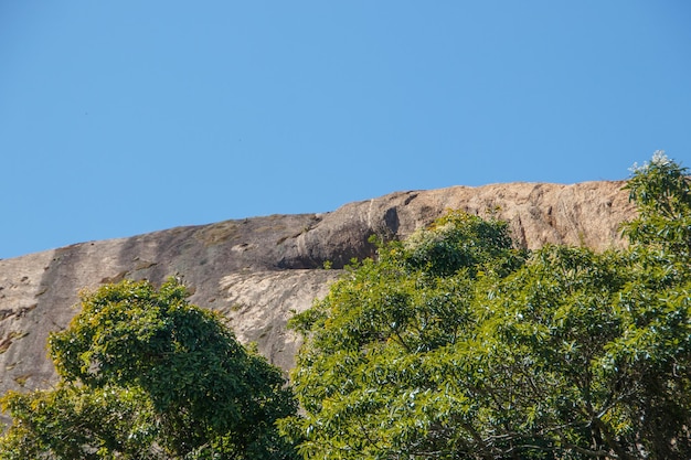 detail of the stone of Cantagalo Hill in Ipanema in Rio de Janeiro Brazil