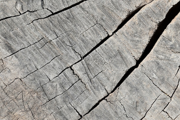 Detail surface of old wooden for background