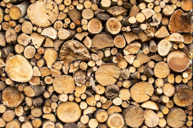 Detail view a big pile of trunks trees Closeup of wooden trunks in nature Wooden background Log background