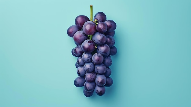 Detailed Grape Portrait