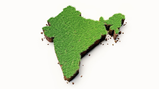 Detailed India Map top view with green Grass and soil mud 3d illustration