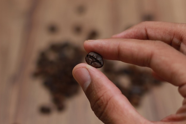 Photo detailed photo of coffee beans before being processed into a drink isolated on wood concept photo of the basic ingredients of coffee drinks