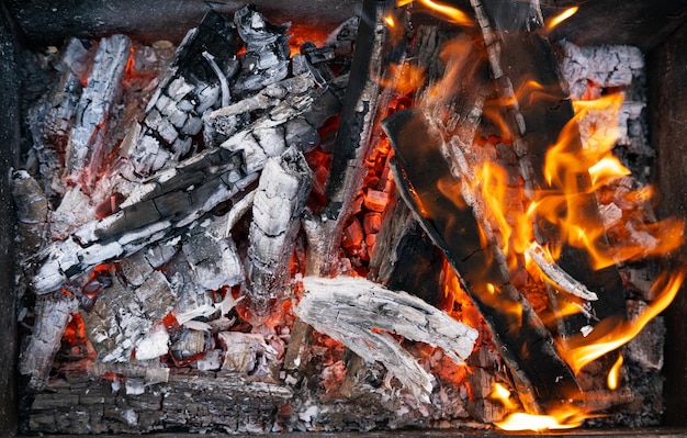 Details of charcoal for barbecue at picnic