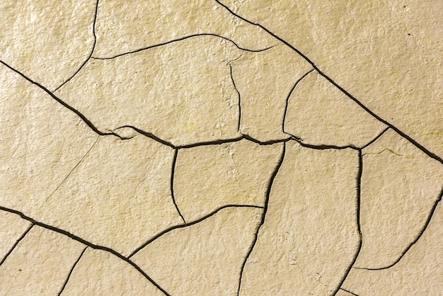 Details of a dried cracked seabed