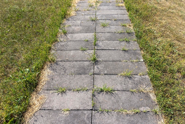 Details of the road on which grass sprouts through the tile and seams in the tile part of the road is destroyed by grass and other plants