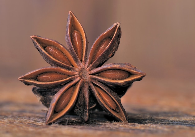 Details of a star anise