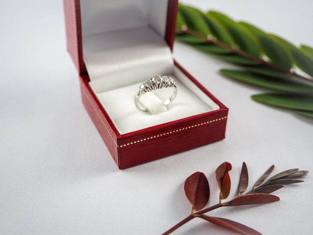 Diamond rings next to white engagement ring box in red box and leaves on white background