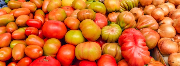 Diferent kinds of fresh tomatoes on display in a grocery shop