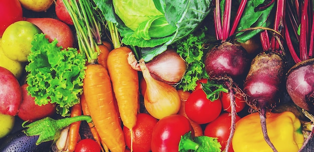 Different bio vegetables. photo. food nature.