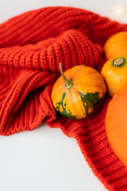 Different bright orange pumpkins on a red background lie on a knitted fabric Autumn warmth comfort