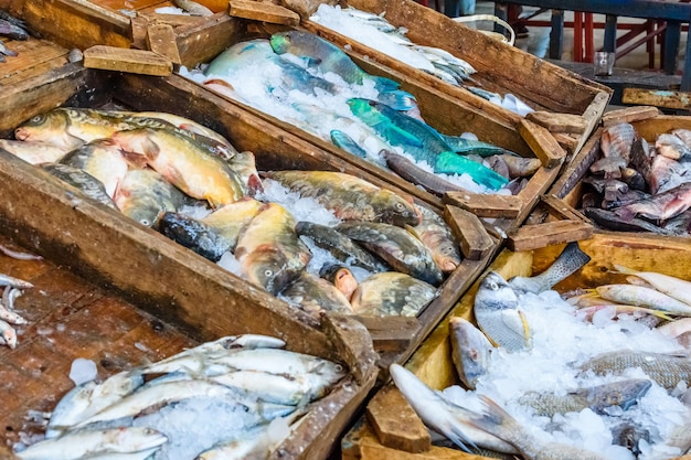 Different fish on fish market in a Hurghada city Egypt