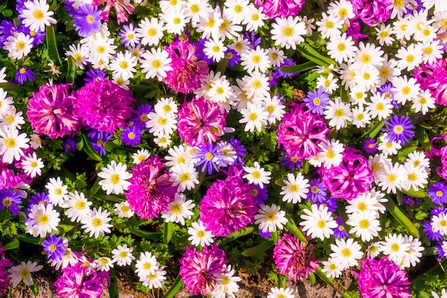 Different flowers. Floral decorated wall background