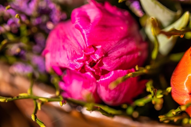 Different flowers and seedlings near the florist flower shop entrance spring time easter concept