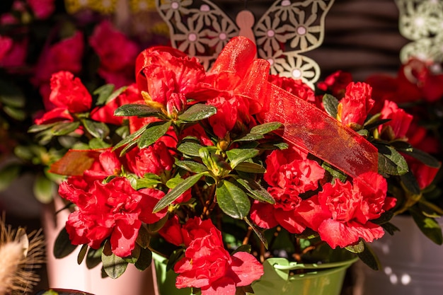 Different flowers and seedlings near the florist flower shop entrance spring time easter concept