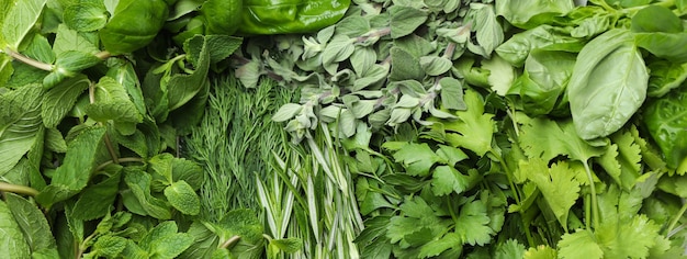 Different fresh herbs on whole