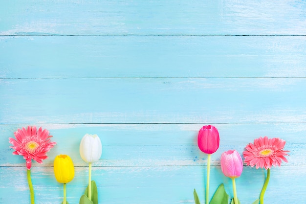 Different kinds of colorful flowers in line on blue wooden background