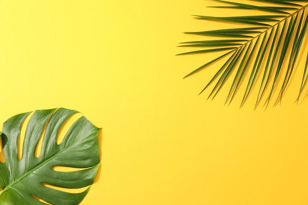 Different palm leaves on yellow table