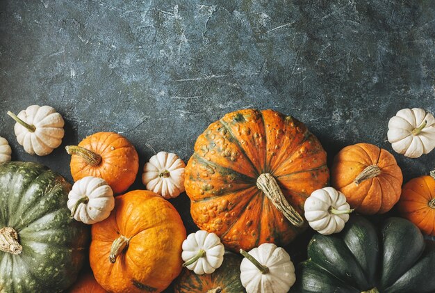 Different pumpkins on a green surface