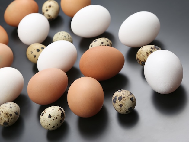 Different quail and chicken eggs lie together