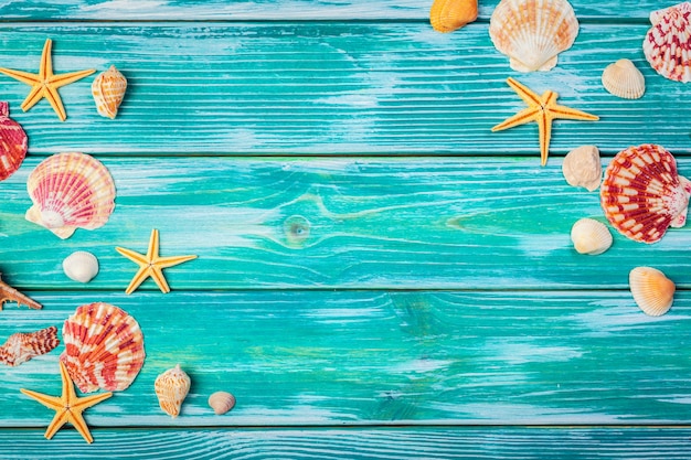 Different sea shells on color wooden background