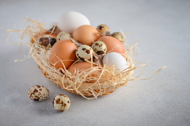 Different types of eggs in a basket on a gray concrete background.