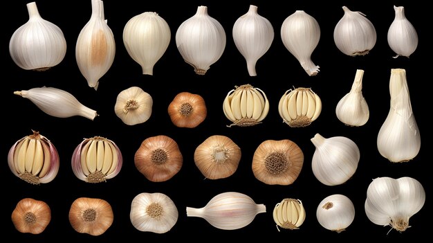 different types of garlic on black background