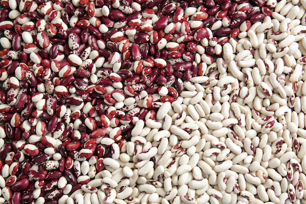 Different types of haricot beans closeup