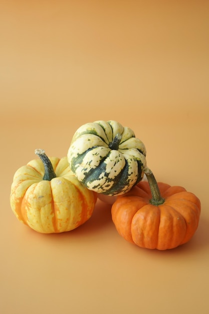 Different types of mini pumpkins color background