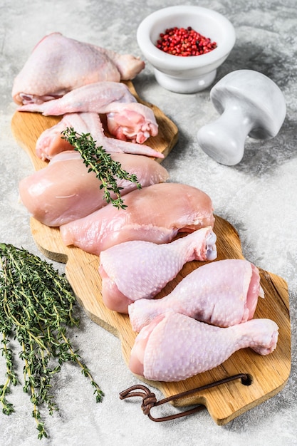 Different types of raw chicken meat, poultry