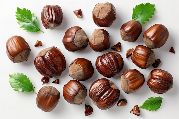 Digital artwork of few chestnuts scattered on the white background