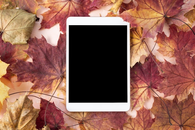 Digital tablet on fall background Autumn leaves mockup