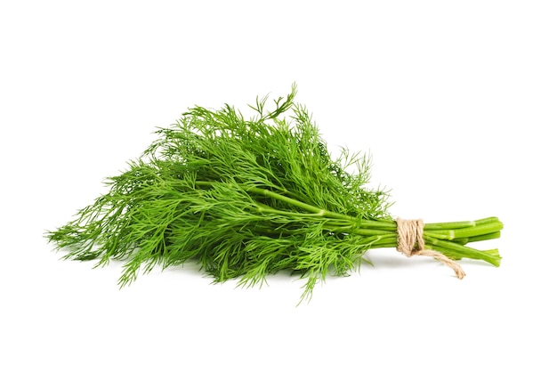 Dill isolated on white background