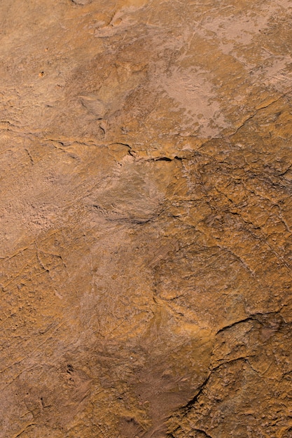 Dinosaur footprints on stone