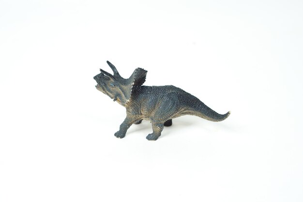 Photo dinosaur. plastic rubber toy isolated on white.