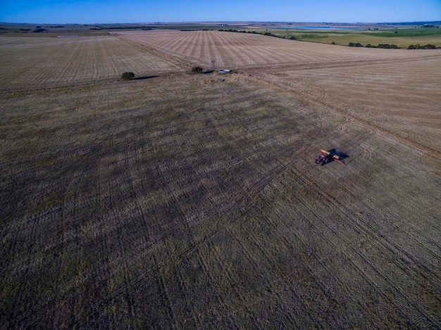 Direct sowing in the Argentine field La Pampa Province Argentina