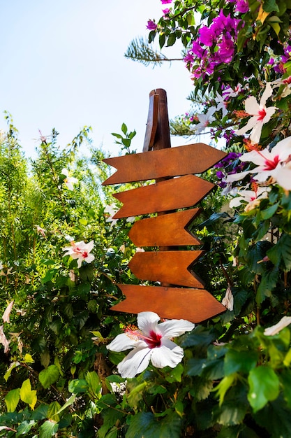 direction sign with place for text is immersed in hibiscus flowers.