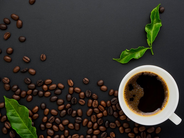 Photo directly above shot of coffee beans on table