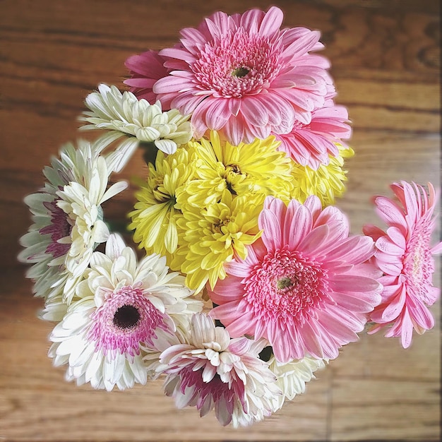 Directly above shot of gerbera flowers in a vase