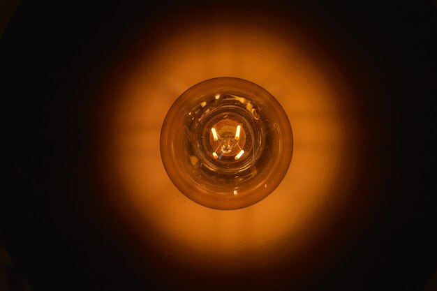 Photo directly below shot of illuminated light bulb