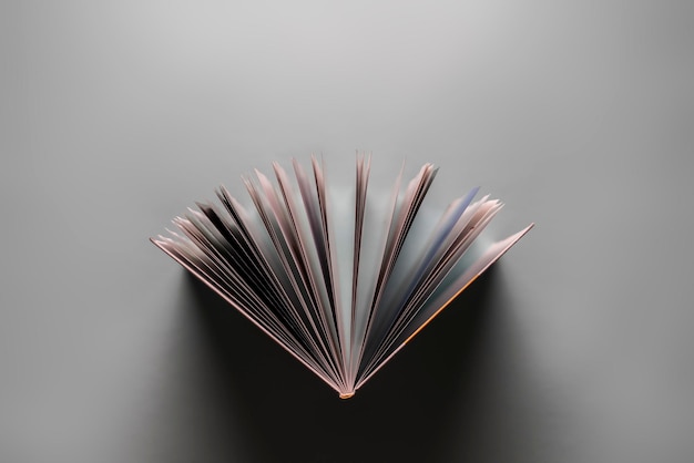 A directly above view of the opened book on pastel background spreaded pages