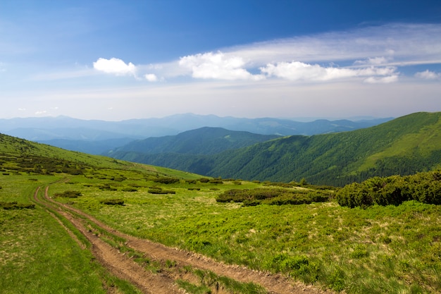 Dirt car track on green grassy hill leading to woody mountains ridge on bright blue sky copy space background. Tourism and traveling concept.