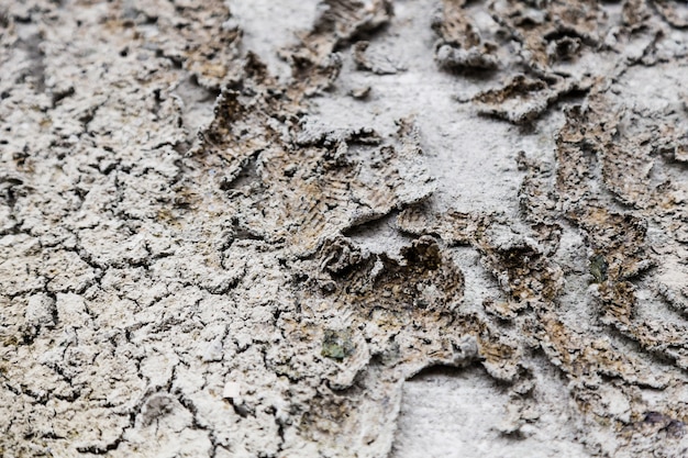 dirt or dry dirty ground texture background