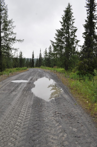 Dirt road after a rain