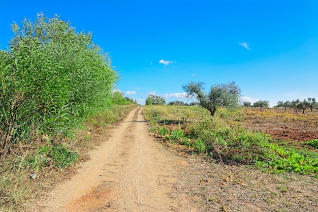 Dirt road in the countryside in Porto Conte Sardinia