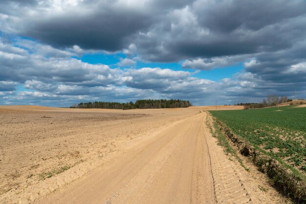 A dirt road in a field with wheat in the summer against the background of clouds Outdoor recreation away from the hustle and bustle of the city