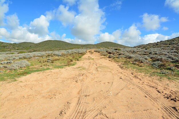 Dirt road and green hill in Argentiera Sardinia